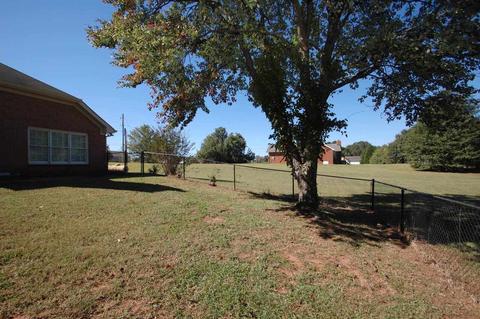 1724 Lovejoy Rd, Hampton, GA 30228 photo 36