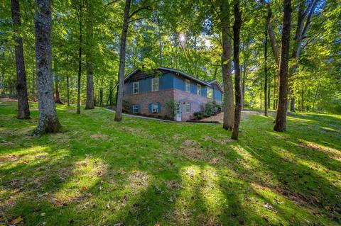 508 Lakeside Dr, Cornelia, GA 30531 photo 39