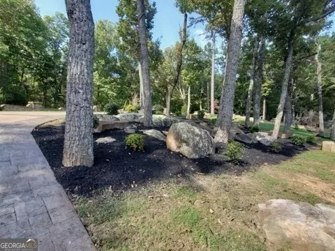 Exterior - 223 S Brow Dr, Cloudland, GA 30731 photo 27 of 27