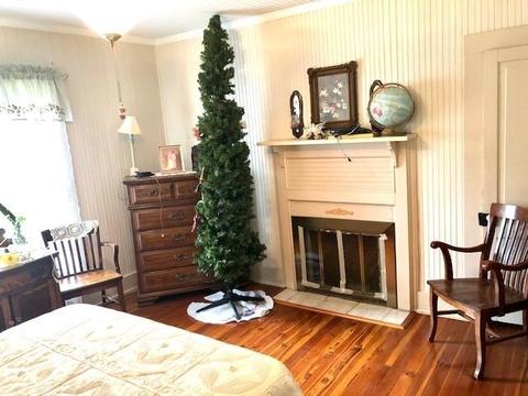 7669 Stilson Leefield Rd, Brooklet, GA 30415 photo 26