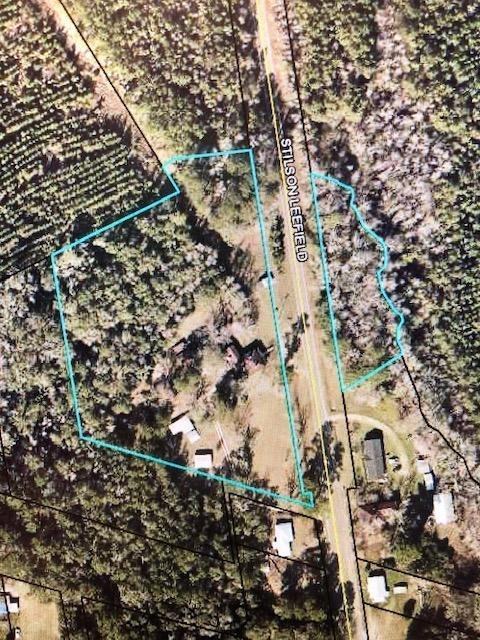 7669 Stilson Leefield Rd, Brooklet, GA 30415 photo 2