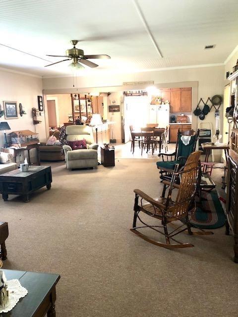 7669 Stilson Leefield Rd, Brooklet, GA 30415 photo 7