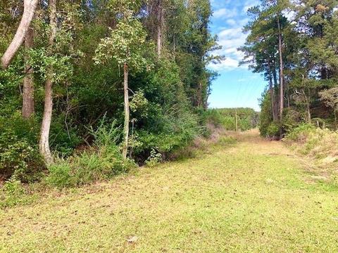 7669 Stilson Leefield Rd, Brooklet, GA 30415 photo 45