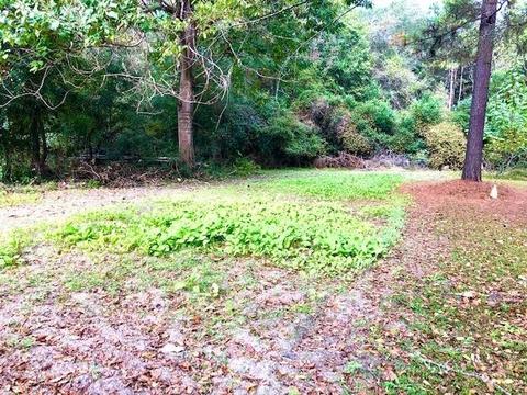 7669 Stilson Leefield Rd, Brooklet, GA 30415 photo 52