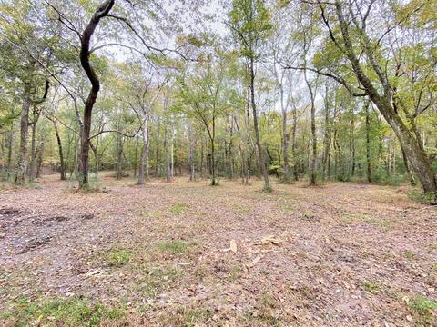 549 Birch Rd, Franklin, GA 30217 photo 46