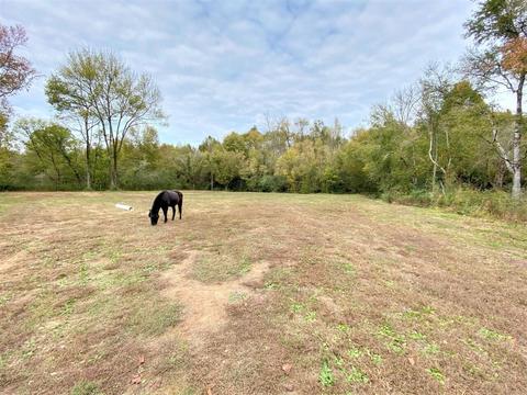 549 Birch Rd, Franklin, GA 30217 photo 45
