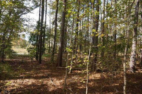 101 Mockingbird Ln, Brooks, GA 30205 photo 7