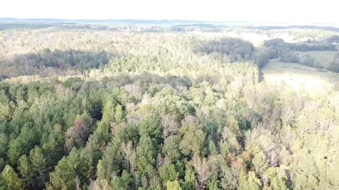 0- Tr 5 County Rd 408, Heflin, AL 36264