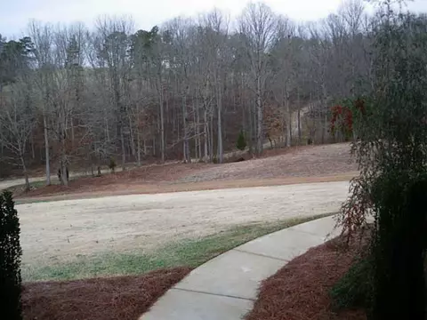 623 Roy Brown Rd, Buchanan, GA 30113 photo 2