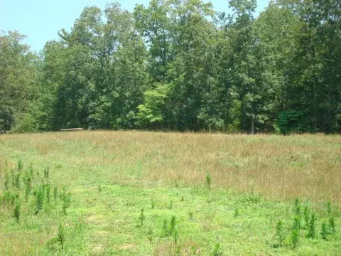 345 Mini Rd SE, Rydal, GA 30171 photo 20