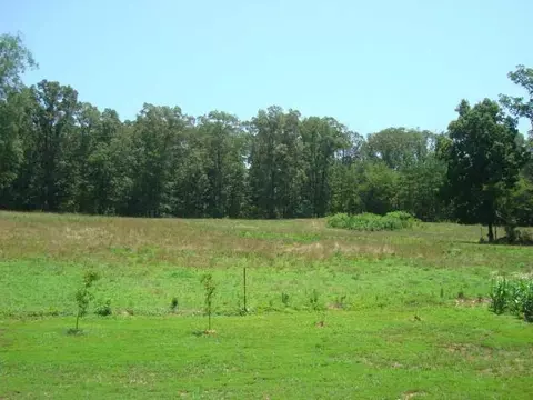 345 Mini Rd SE, Rydal, GA 30171 photo 17
