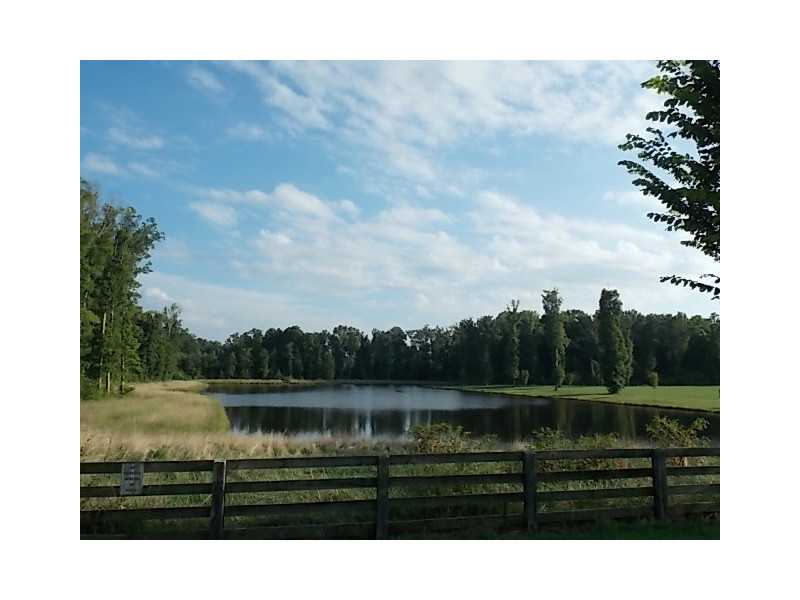 14 Paddock Ln, Rydal, GA 30171 photo 8