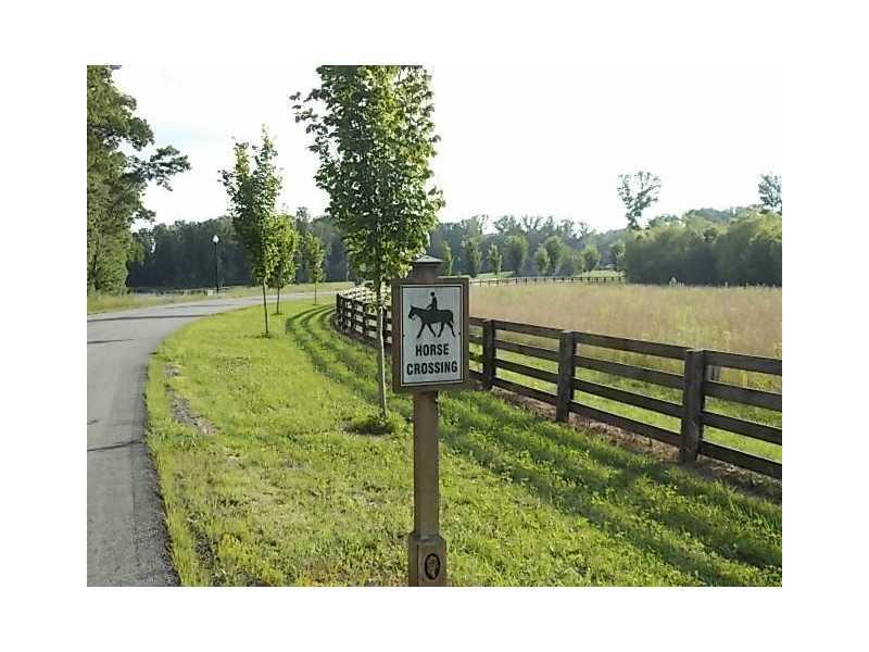 14 Paddock Ln, Rydal, GA 30171 photo 7