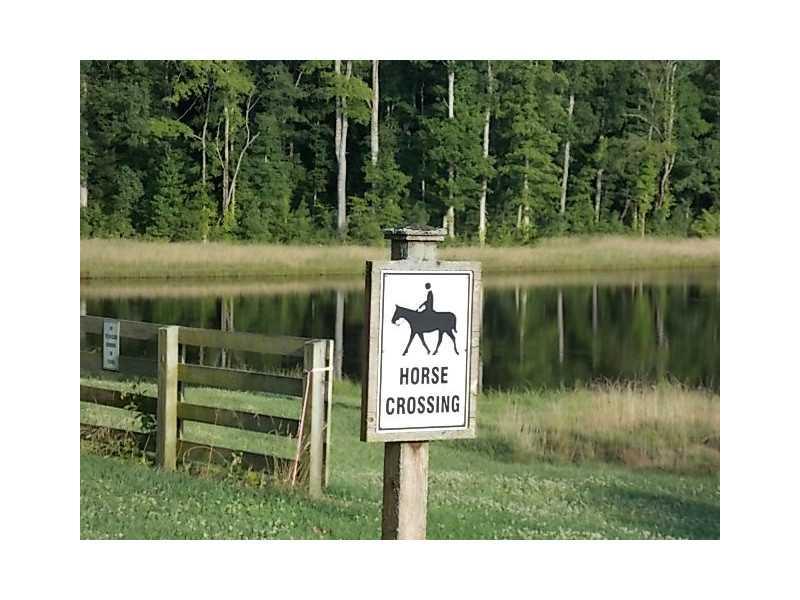 14 Paddock Ln, Rydal, GA 30171 photo 16