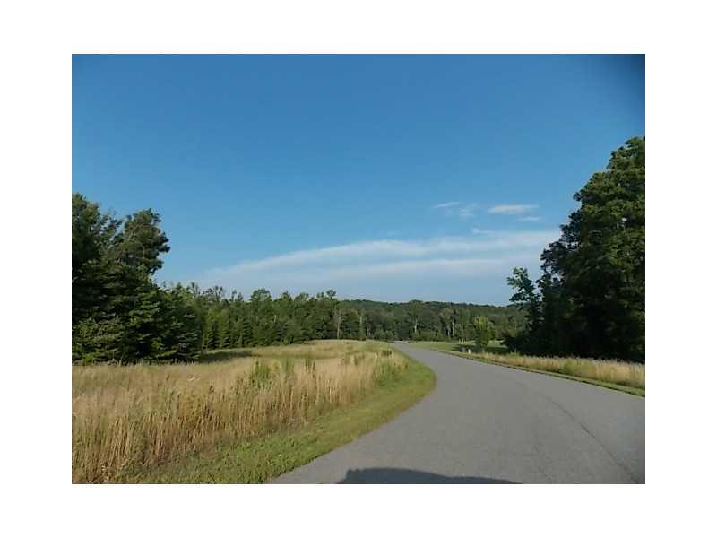 14 Paddock Ln, Rydal, GA 30171 photo 10