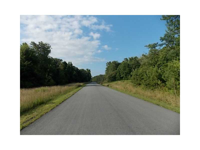 14 Paddock Ln, Rydal, GA 30171 photo 13