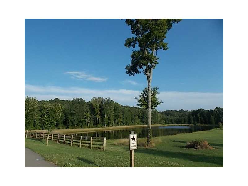 14 Paddock Ln, Rydal, GA 30171 photo 17