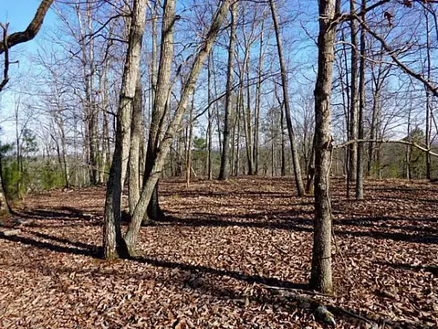 lot14 Macedonia Rd, White, GA 30184 photo 1
