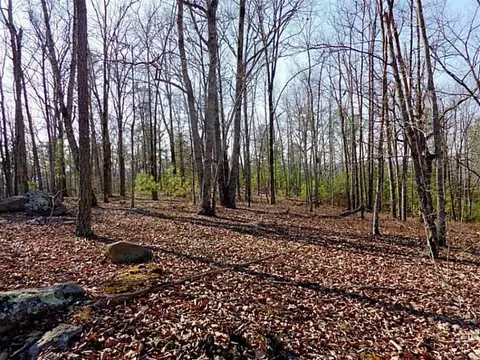 lot14 Macedonia Rd, White, GA 30184 photo 5