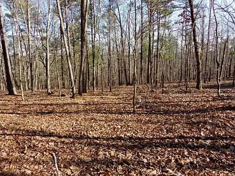 lot14 Macedonia Rd, White, GA 30184 photo 4