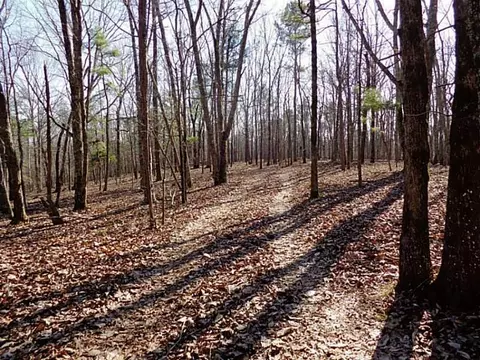 lot14 Macedonia Rd, White, GA 30184 photo 6