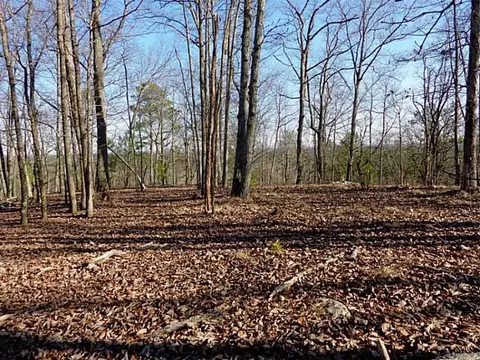 lot14 Macedonia Rd, White, GA 30184 photo 9