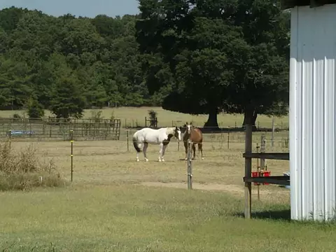 654 Euharlee Five Forks Rd, Kingston, GA 30145 photo 7
