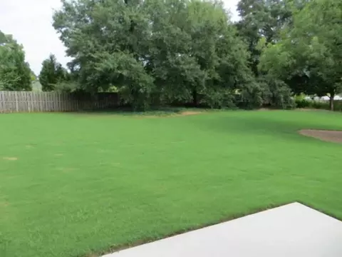 2022 Silver Birch Ct, Bethlehem, GA 30620 photo 21