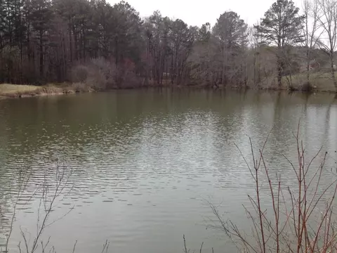 2255 Mountain Rd, Milton, GA 30004