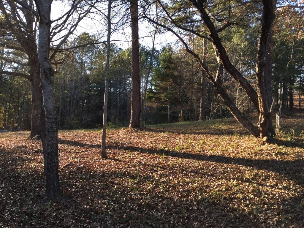 385 Edgewater Trl, Toccoa, GA 30577 photo 1
