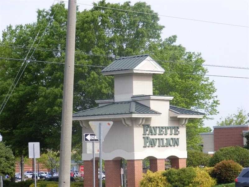 1164 Paris Dr, Hampton, GA 30228 photo 18