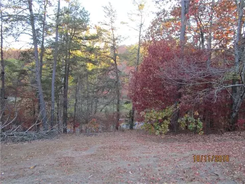 560 Apple Rd, Ranger, GA 30734 photo 3