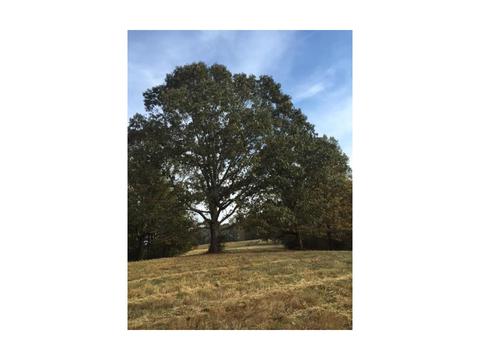661 Epperson Rd, Canton, GA 30115 photo 1