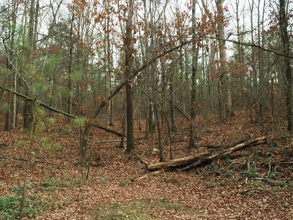 353 Allen Loop SE, Calhoun, GA 30701 photo 15