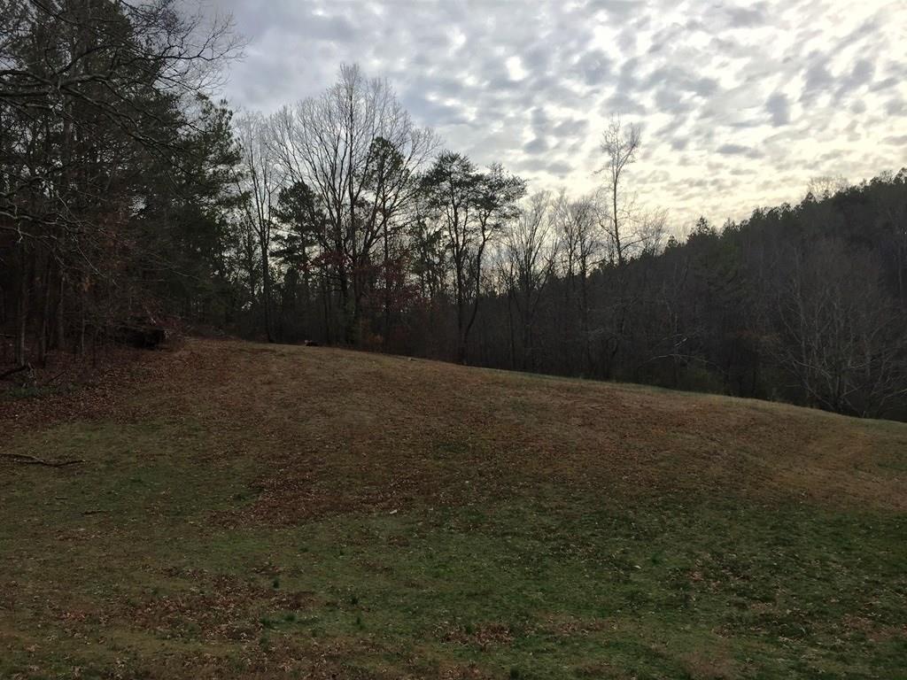 353 Allen Loop SE, Calhoun, GA 30701 photo 16