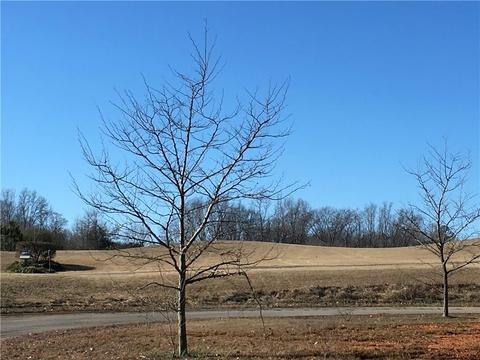 22 Chesnut Oak Trl, Commerce, GA 30529 photo 15