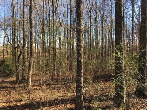 22 Chesnut Oak Trl, Commerce, GA 30529 photo 10