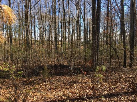 22 Chesnut Oak Trl, Commerce, GA 30529 photo 17