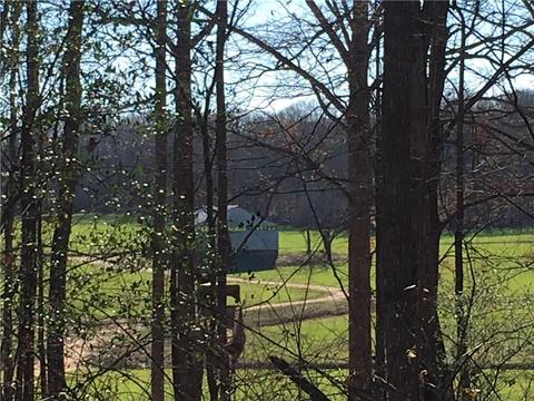 22 Chesnut Oak Trl, Commerce, GA 30529 photo 19
