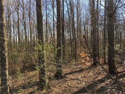 22 Chesnut Oak Trl, Commerce, GA 30529 photo 11