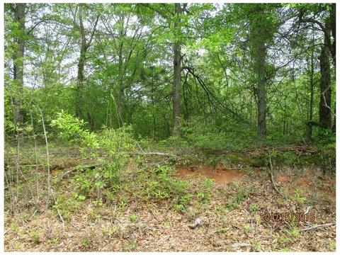 302 Vaughn Rd, Temple, GA 30179 photo 1