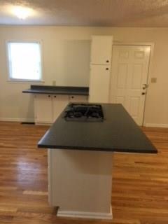 672 SW Euharlee Rd SW, Euharlee, GA 30120 photo 33