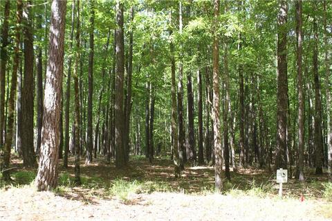 1309 The Blfs, Lagrange, GA 30240 photo 4