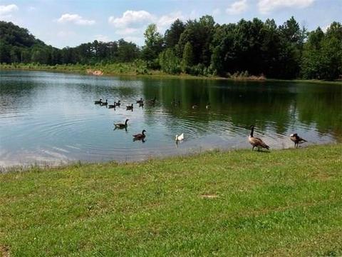 29 Antler Ct, Ranger, GA 30734 photo 20