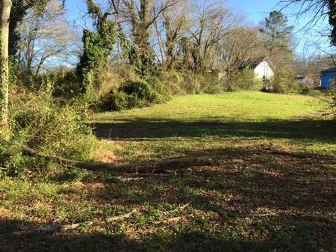 96 Savannah St, Newnan, GA 30263