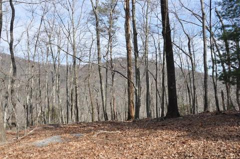 0028 Petit Ridge Dr, Big Canoe, GA 30143