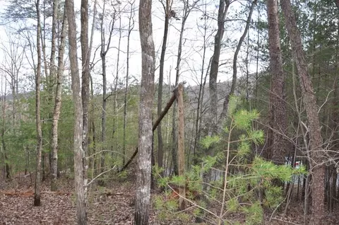 663 Black Bear Trl, Big Canoe, GA 30143