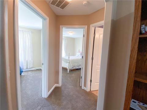 321 Simeon Rd, Statham, GA 30666 photo 32