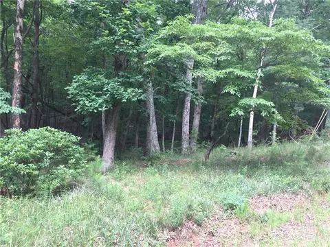 0 Buckeye Trl, Jasper, GA 30143