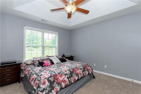 206 Tia Ct, Bethlehem, GA 30620 photo 17